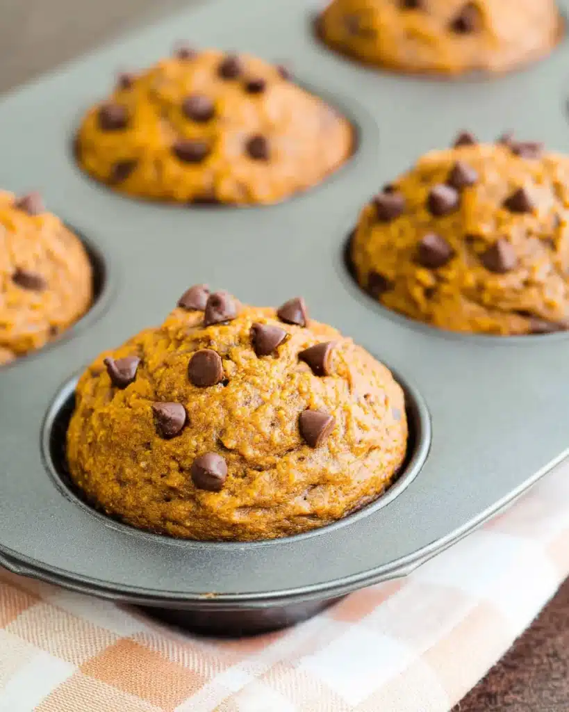 Pumpkin chocolate chip muffins baked in a muffin tin, fresh from the oven with golden tops and melted chocolate