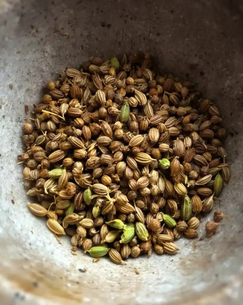 Fennel and coriander seeds for Orange Chicken Roast with Fennel and Shallots
