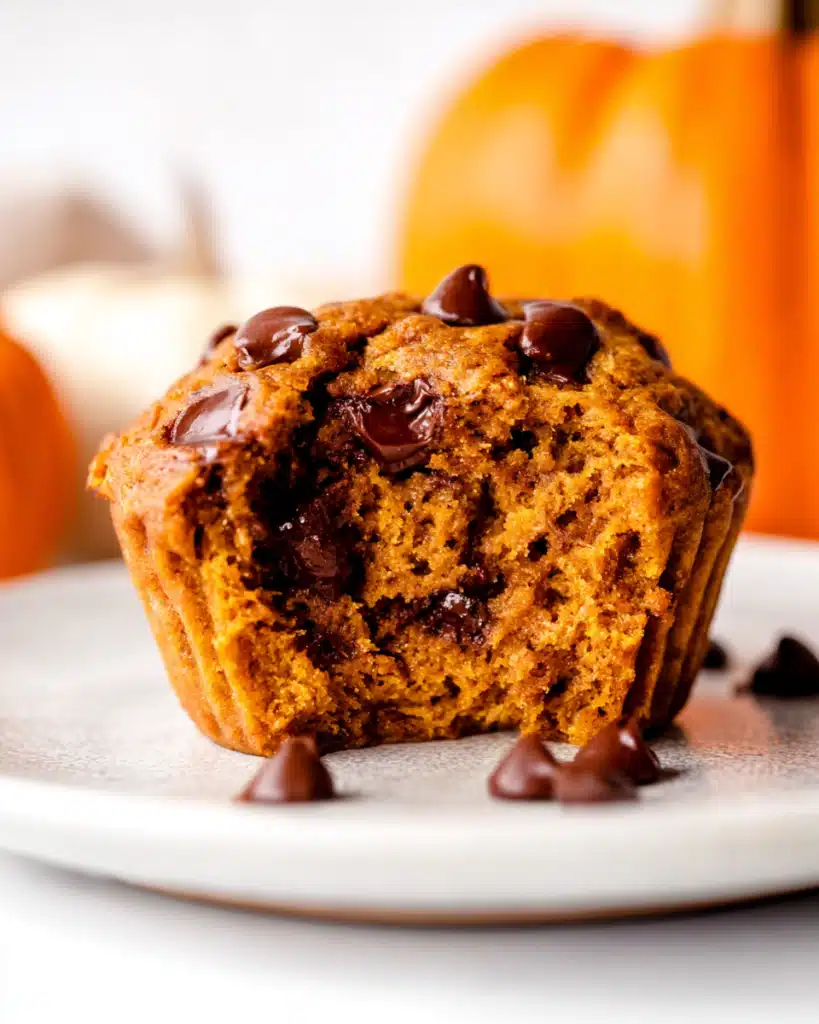 Pumpkin chocolate chip muffin with a bite showing moist interior
