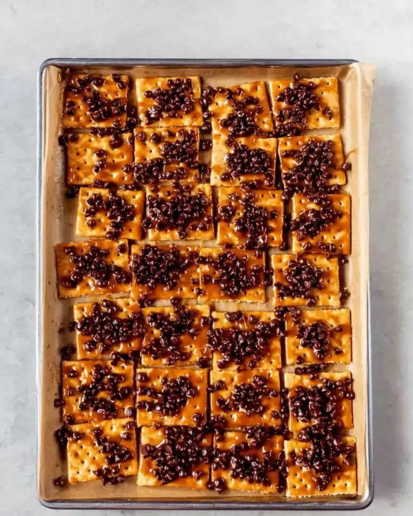 saltine crackers topped with melted chocolate chips and toffee layer
