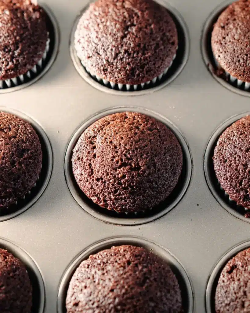 Freshly baked chocolate cupcakes cooling in muffin pan